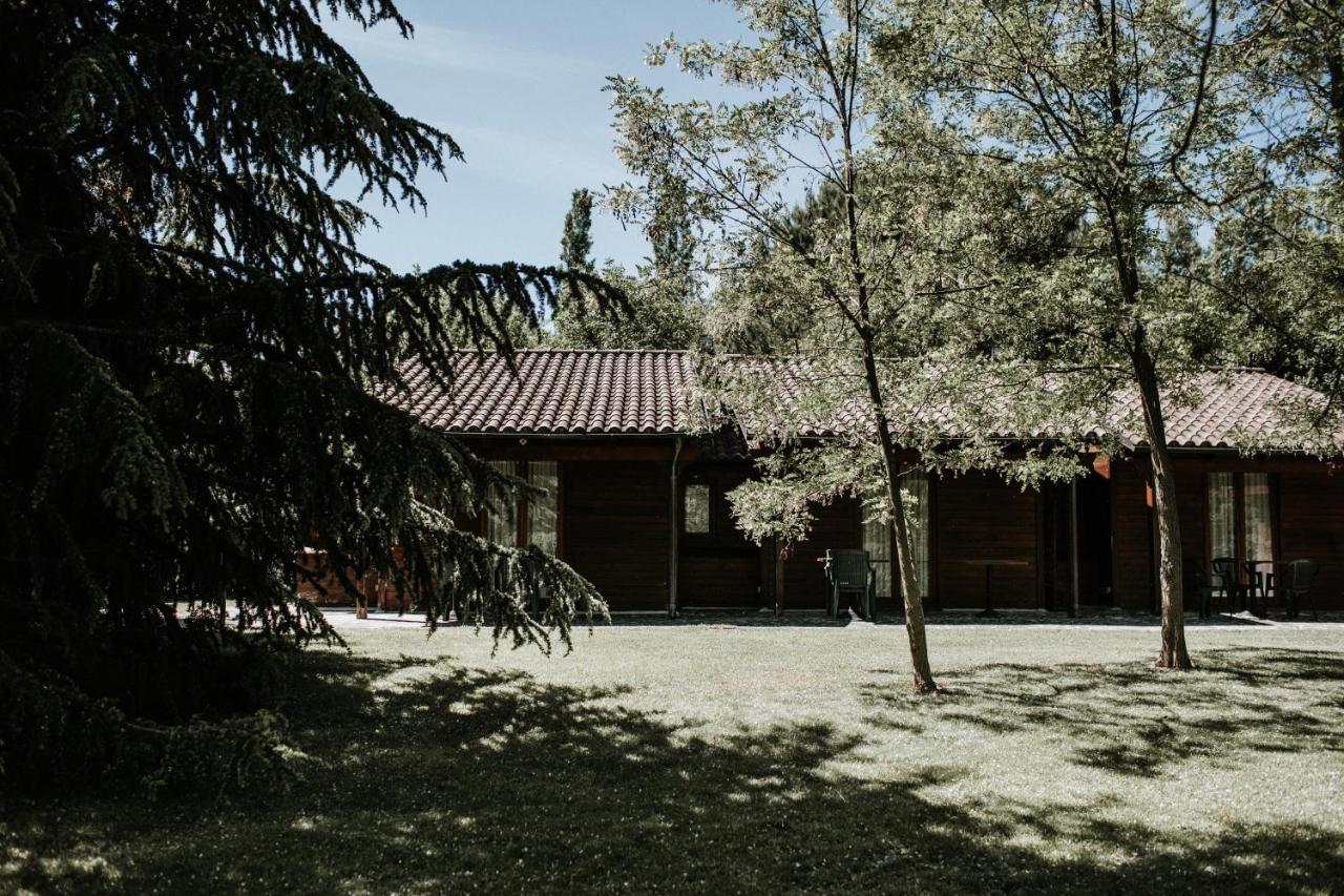 Basciano L'Anfora Country Club Bed & Breakfast エクステリア 写真