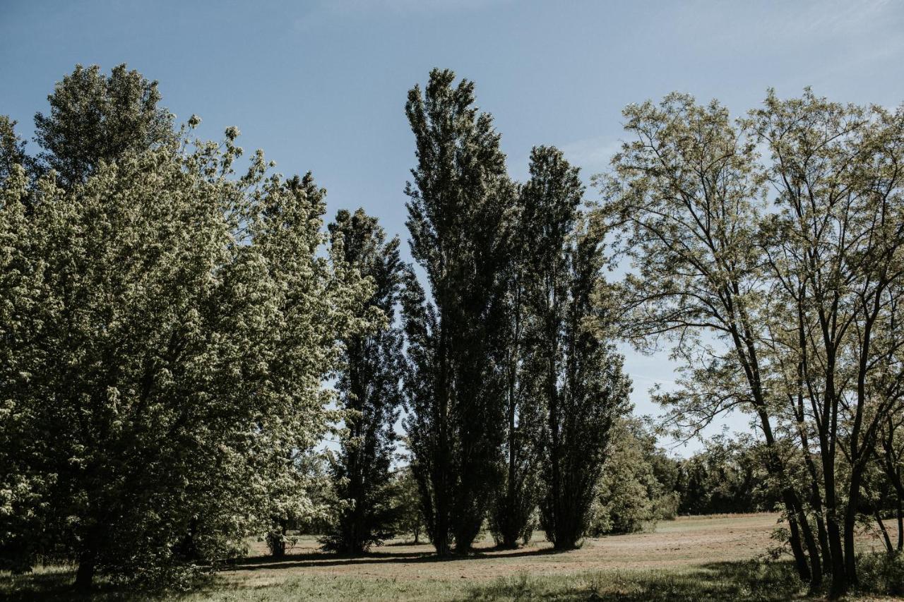 Basciano L'Anfora Country Club Bed & Breakfast エクステリア 写真
